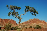 Capitol Reef 05